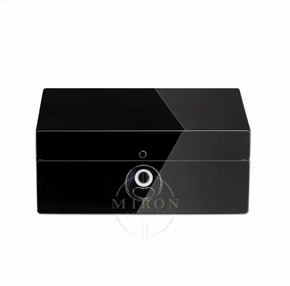 Watch Box Fingerprint Lock - Prestige - Watch Case