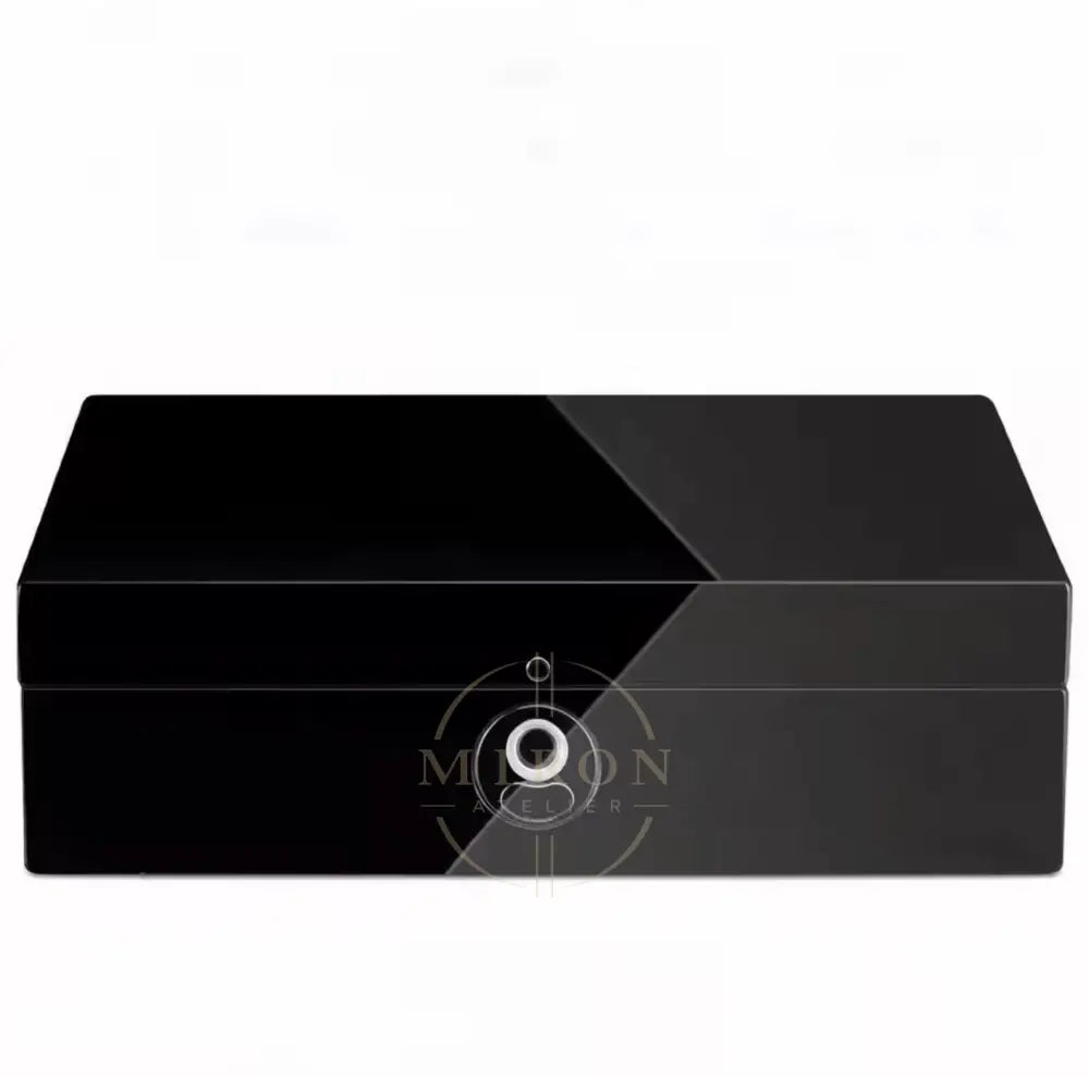 Watch Box Fingerprint Lock - Prestige - Watch Case