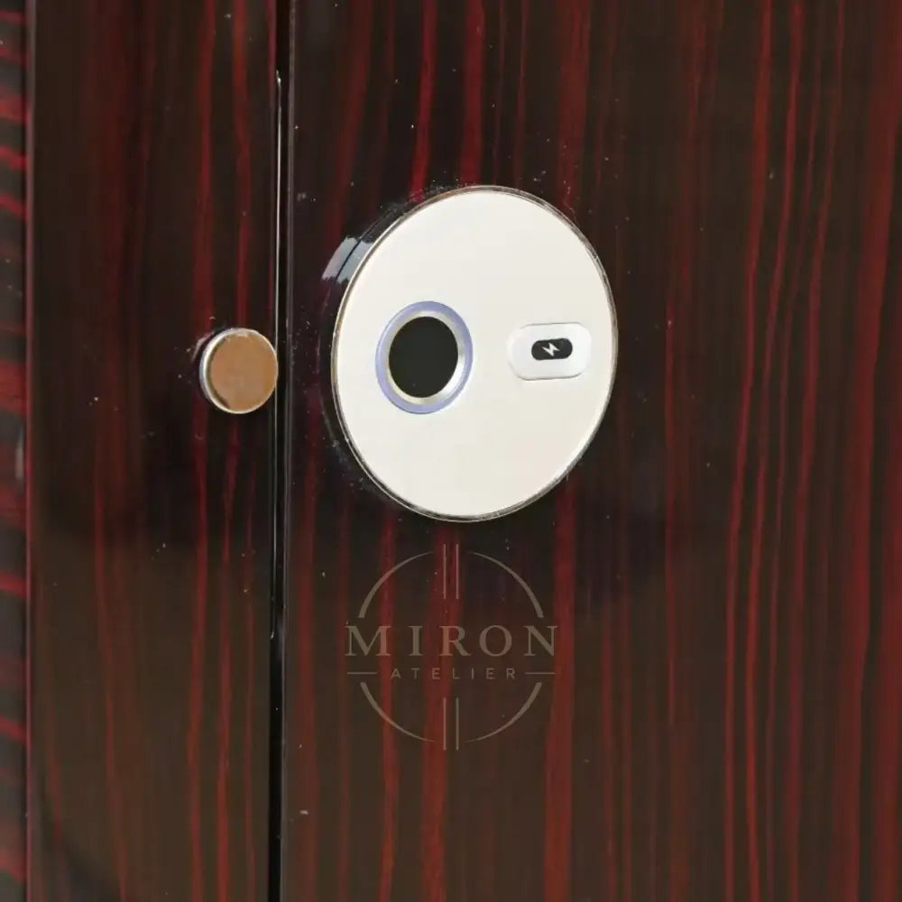 Close-up of a modern watch winder door handle on a wooden door
